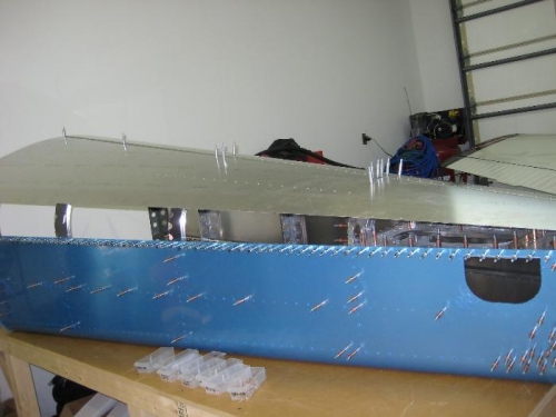 Set Skin in place