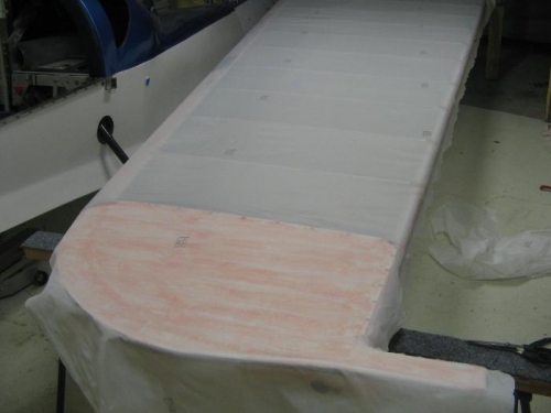 bottom of wingtip cove