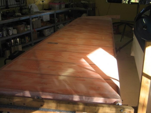 1st coat poly brush upper wing