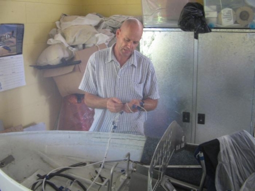 Mark inspecting wiring