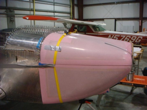 Pink nosed rocket