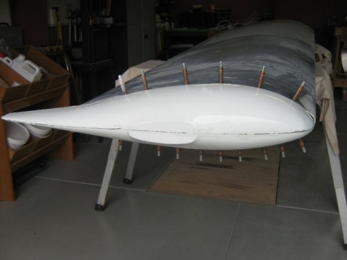 Wing tip temp in place to start shaping