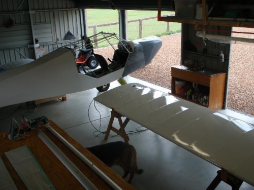 Wings ready for hanging