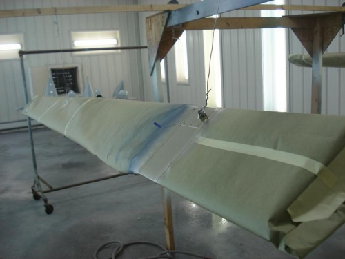 Flaperon gold striped.