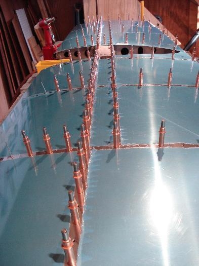 Another porcupine attack!