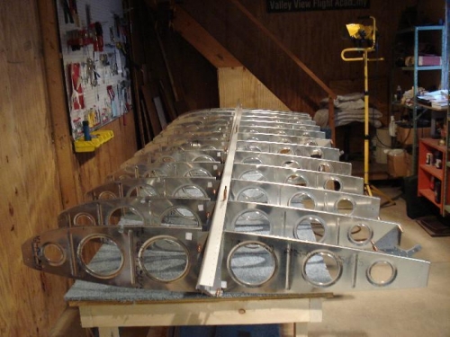 Test-assembled left wing skeleton.