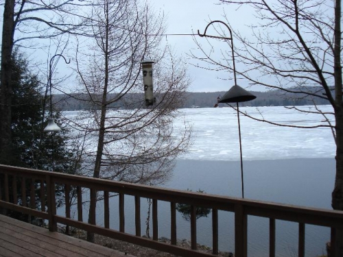 Springtime in the Adirondacks.