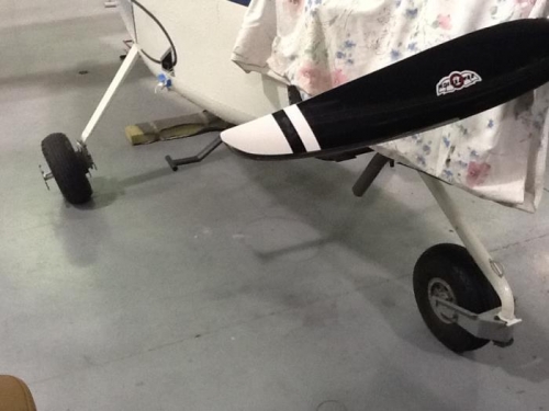 Back on all three legs.