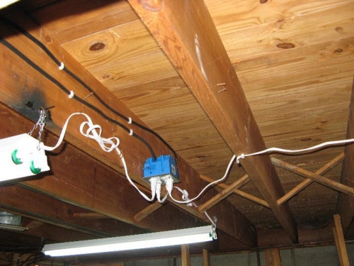 Receptacle and new lights