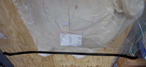 Rotated to simulate the canopy on top of my head. Better than standing on my head for a picture....