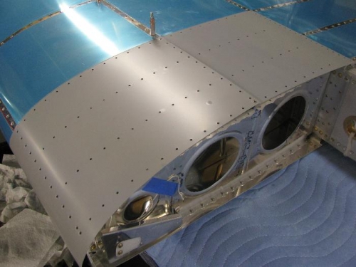 Wing Walk Skin Primed