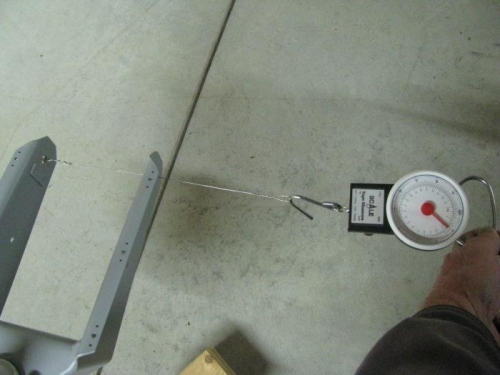 26lbs. on the fish scale