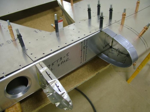 Detail inside the nose skin