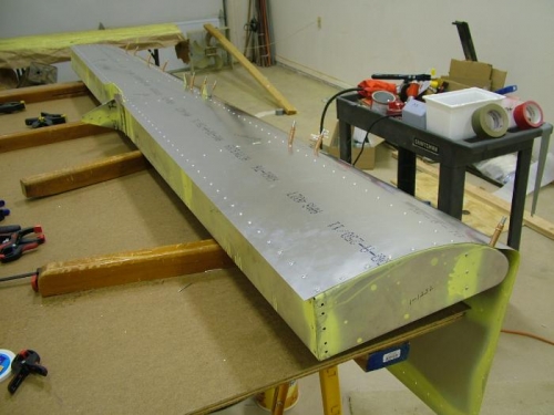 Adding the treated skin