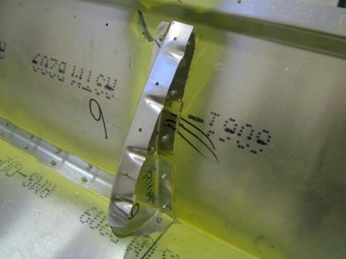 The rib attached to the skin