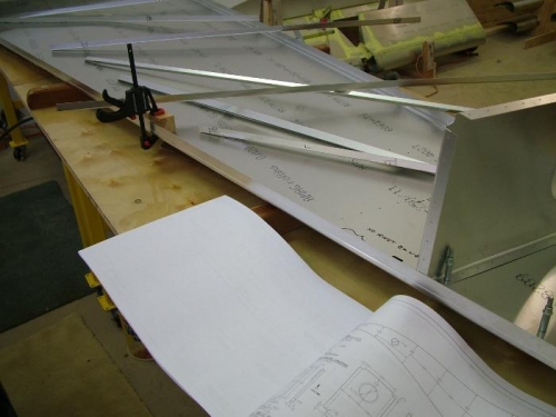 The right wing skin and attachments