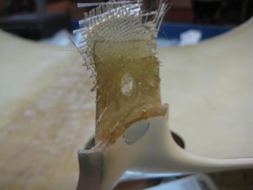 So I added some fiberglass to make it longer.