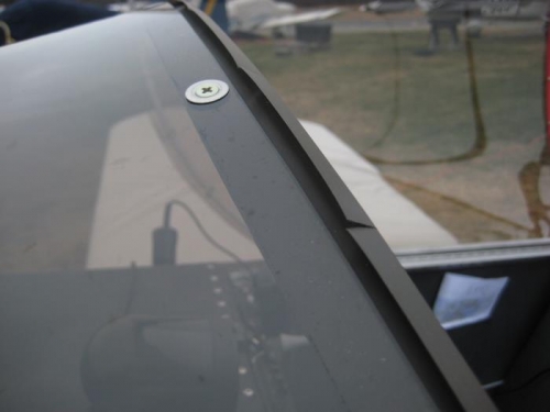 Seal on bow strap, facing forward.