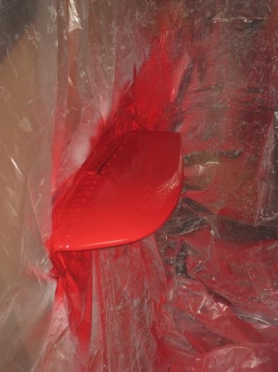 Last horizontal tail tip painted.