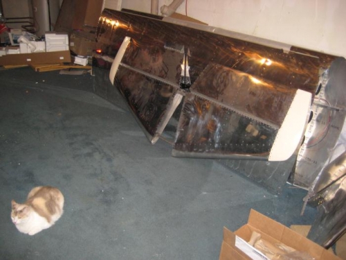 Boo, our cat, with another section of the basement cleared out.