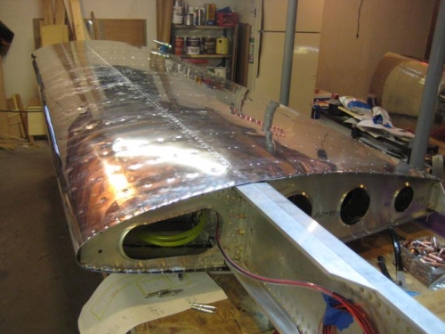 Wing from the root end.