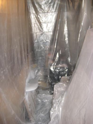 Tail tip peeking thru into plastic 