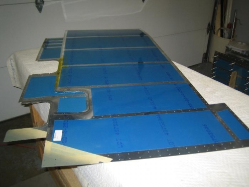 Skins (Plastic Removed)