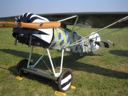 Gwen's D-VIII 3/4 Scale