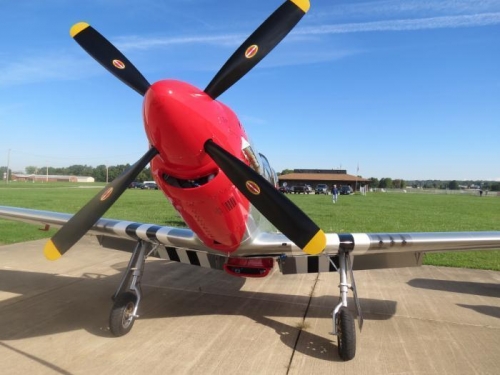 Titan Mustang (Honda)