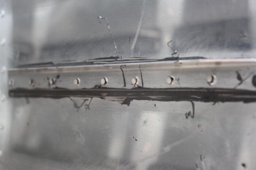 Top left tank fwd stiffener.