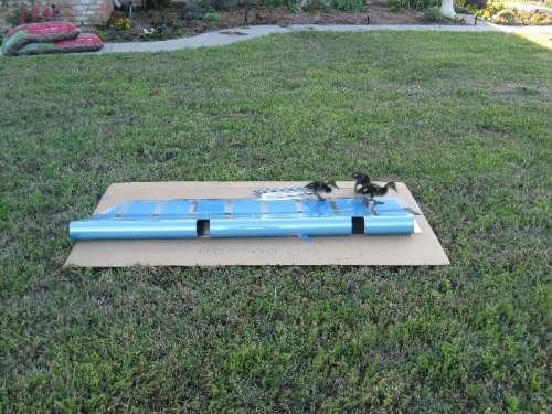 There is some question about professional help here?