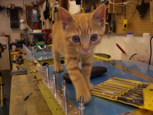 A new build partner...