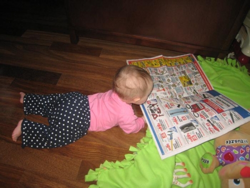 Amelia loves looking at the Harbor Freight Tool catalog.