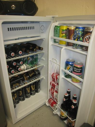 The well-stocked fridge.