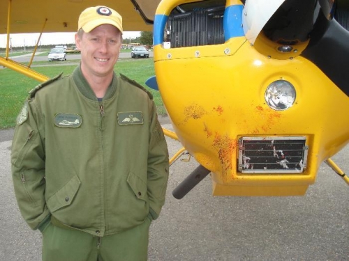 Seagull zigged when it should have zagged!