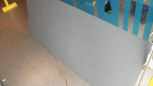 All skins were primed.