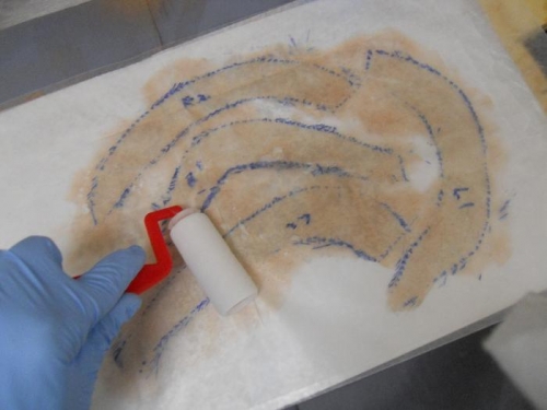 Using roller over wax paper to spread resin