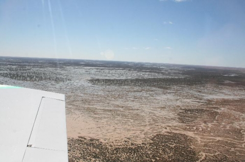 Where the Cooper Creek cuts the Birdsville track