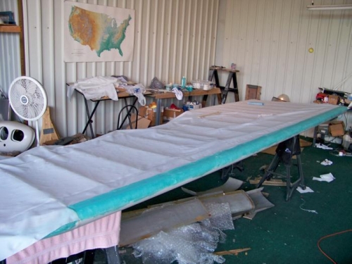 Leading edge of the left wing glued down.