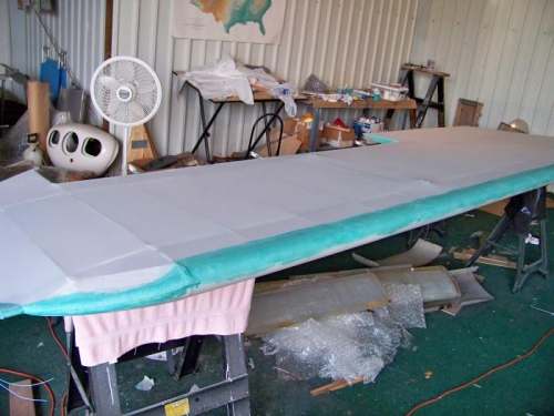 Left wing with initial shrink done.