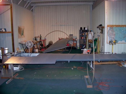 Two wings, all ready for color!