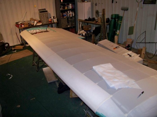 Left wing with first fabric shrink on top.