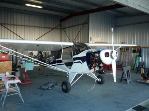 Wings are back where they belong.