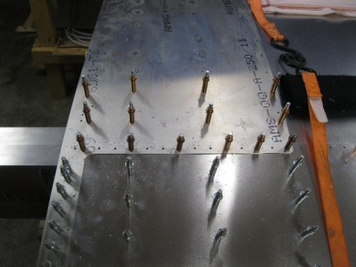 Top wing skin and wing walk.