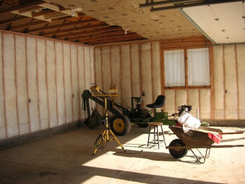 Bats under attic floor