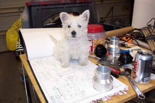 Molly is helping me plan it out