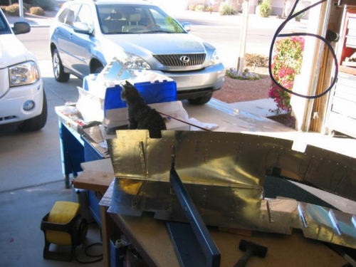 Dimpling the left elevator skin - Cat is on guard and on a collar. :)